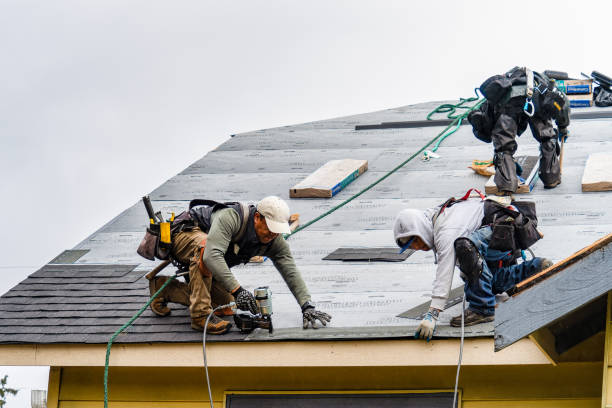 Professional Emergency Roof Repair technician working in Caledonia, MS